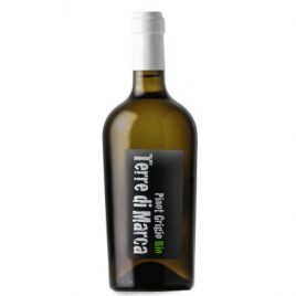 Terre di Marca Pinot Grigio Ramato Delle Venezie IGT